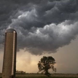 Meet your Posher, Marsha